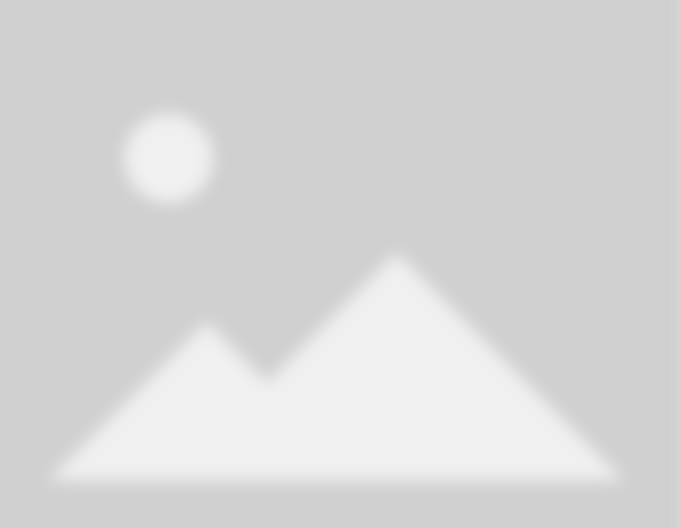 Concrete Contractor